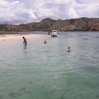 Rendy  Restu's Photo