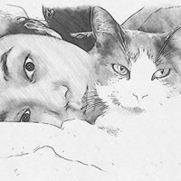 Atike Kalkay的照片