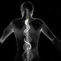 L.A. Burchard的照片