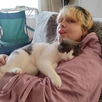 Fotos de Teoman D. Güneş