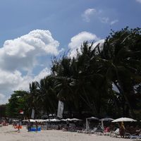 hassan alsaegh's Photo