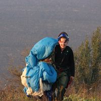 Roman Бедоев的照片