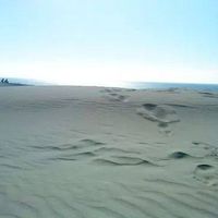 Gianluca Musa的照片