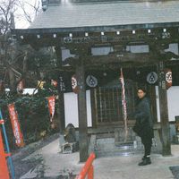 Photos de Andrew Nguyen