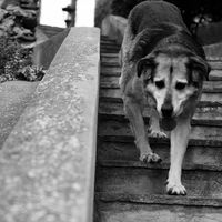 Anastasis Grammenos's Photo