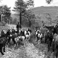 Irini Kolias's Photo