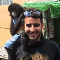 Fotos de Omayer Gharra