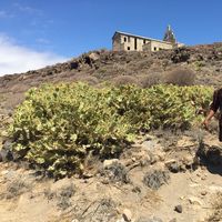 Malick Wilfrid's Photo