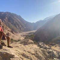 Omar Tantawy的照片