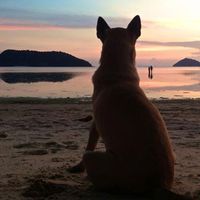 Alex Khodorkovsky's Photo