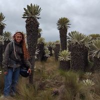 Ale Alvarez的照片