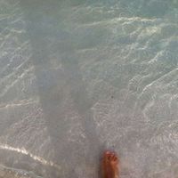 Fotos de Rosemarie Ussing