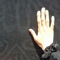 Aya El-sherbeni的照片