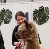 Фотографии пользователя Eeva Nikkari