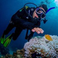 German Alzate's Photo