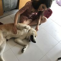 Sofia Tsaousi's Photo