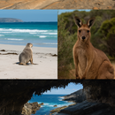 🎒 Day Trip to Kangaroo Island's picture
