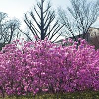 Фотографии пользователя Ant Ci