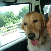 Nicole Smith's Photo