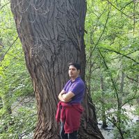 Mohammad Reza Rahimi's Photo