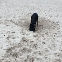 Jan Betonbak's Photo