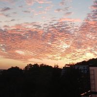 Pauline Chatelain的照片