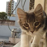 Luiggy Bandoni's Photo