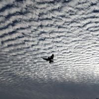 Arunkumar Rayadurgam's Photo