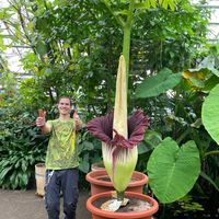 Fotos de Yannick Grund