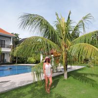 Olha Semenenko的照片