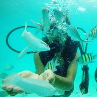 Mandakini Menon's Photo