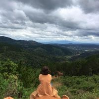 Fotos de Nguyen Tuyet Trinh