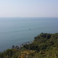 Venkat Mamilla's Photo