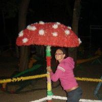 Amanita Muscaria's Photo