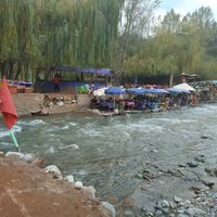 NesYou Beckham的照片