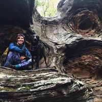 Lauren Krause的照片