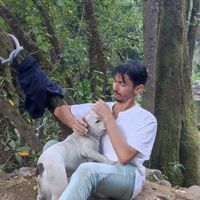 Gonçalo Ferreira's Photo