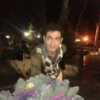 Mohamadreza Fanaee的照片