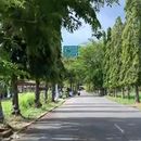 village tour West Sumatera(Pariaman)的照片