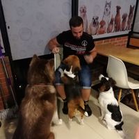 nicolas melki's Photo