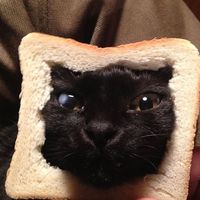 Valen ÄF We的照片