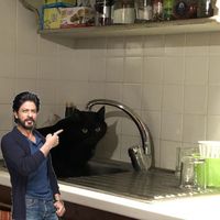 Fotos von Camilla Cantara