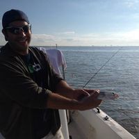 Daniel Goldberg's Photo