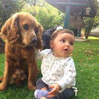 Photos de Hannes Van der Haegen