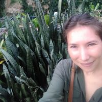 Fotos de Mónica Negrete