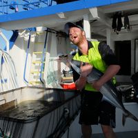 Scott Forrest的照片