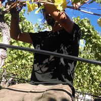 Fotos de Nicolas Abesque