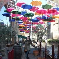 Rebeca Zolet的照片