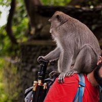 Фотографии пользователя Manuel Riccio