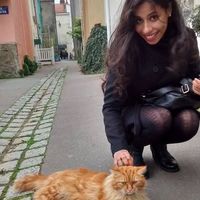 Ariane Vianna的照片